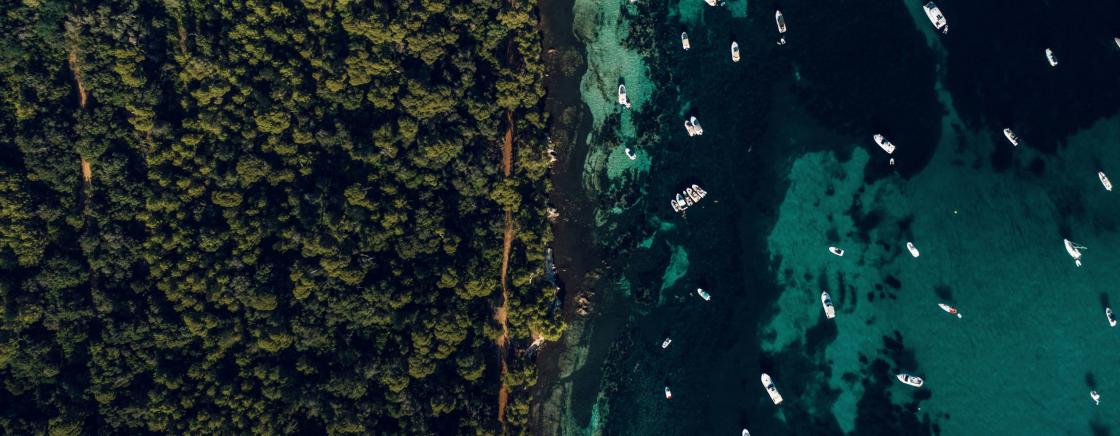 ÉVASION AUX ÎLES DE LÉRINS: LE JOYAU CACHÉ DE LA BAIE DE CANNES