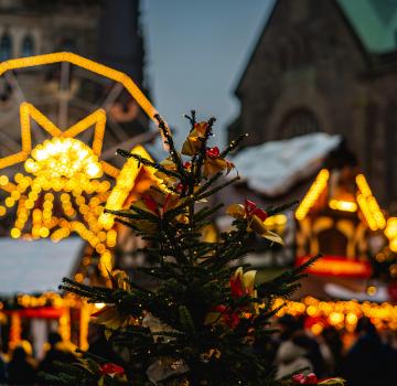 FÊTES DE FIN D'ANNÉE À CANNES : CE QU'IL NE FAUT PAS MANQUER