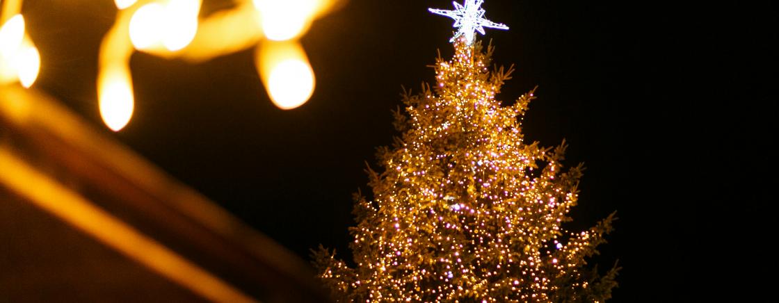 Saveurs et traditions de Noël sur la Côte d'Azur