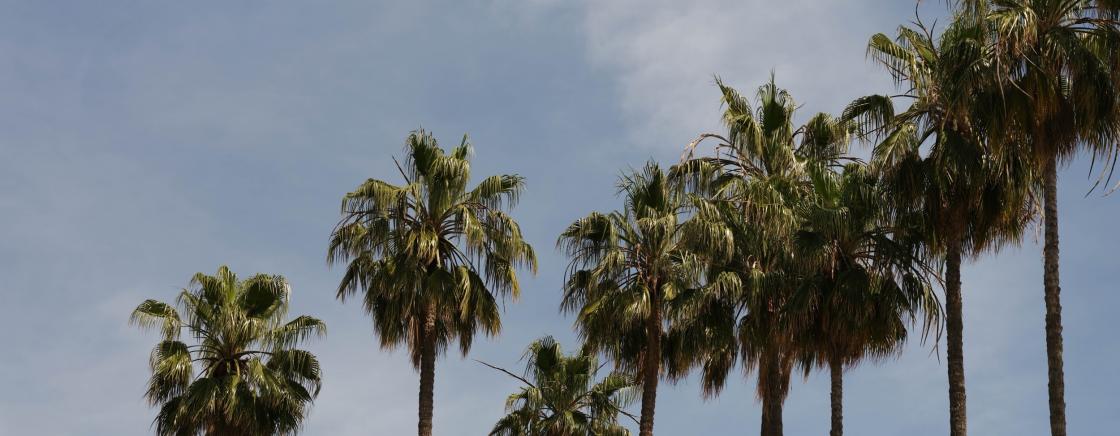 CANNES IN 24 HOURS: THE EPICUREAN EXPERIENCE