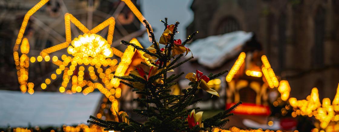 YEAR-END FESTIVITIES IN CANNES: WHAT YOU SHOULDN’T MISS